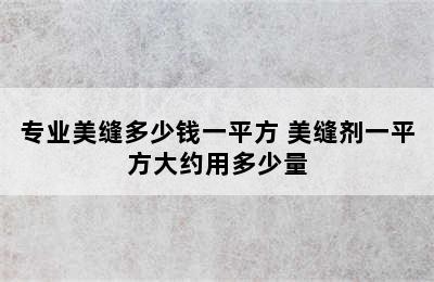 专业美缝多少钱一平方 美缝剂一平方大约用多少量